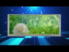 exposição do Lcd do tela panorâmico de 10,3 definições da polegada 1280*480 para o monitor do carro