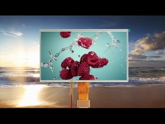 Todos os ângulos de visão 10.1 polegadas módulos LCD touch resistivo